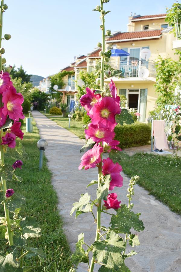 Nushev Hotel Sveti Vlas Buitenkant foto