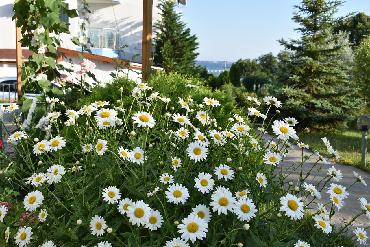 Nushev Hotel Sveti Vlas Buitenkant foto